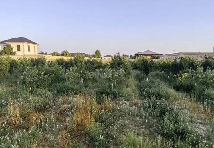 50 sot Torpaq Satılır, Bilgəh qəs., Sabunçu, Bakı