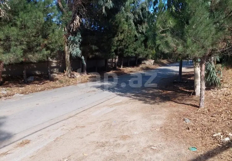 0 m² Obyekt / Ofis , Bilgəh qəs., Sabunçu, Bakı