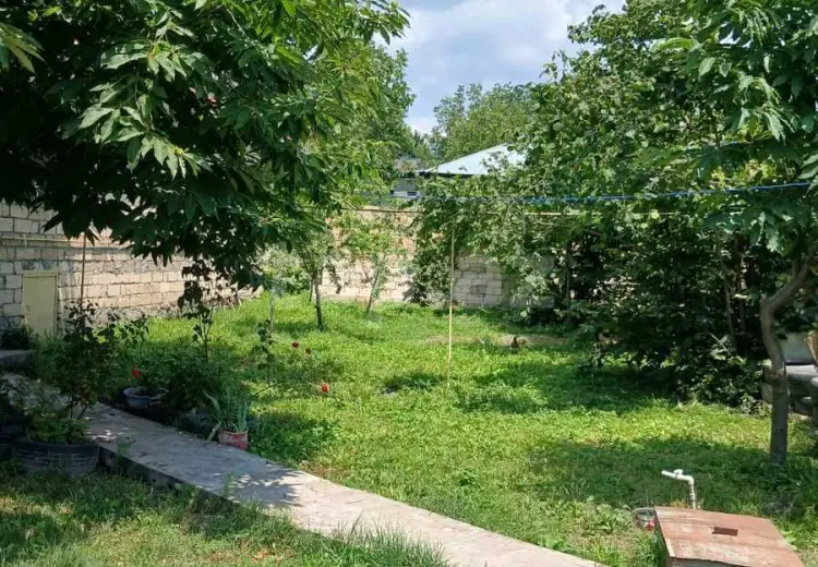 3 otaqlı mənzil , Qəbələ