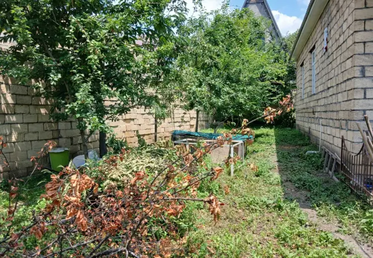 3 otaqlı mənzil , Qəbələ
