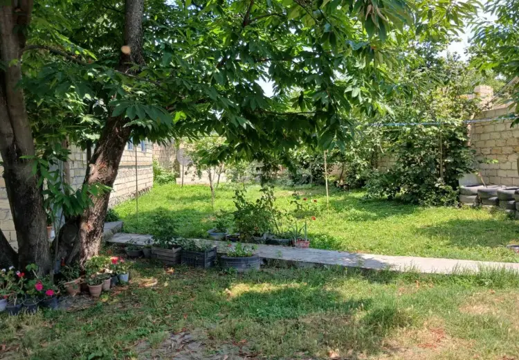 3 otaqlı mənzil , Qəbələ