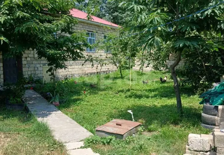 3 otaqlı mənzil , Qəbələ