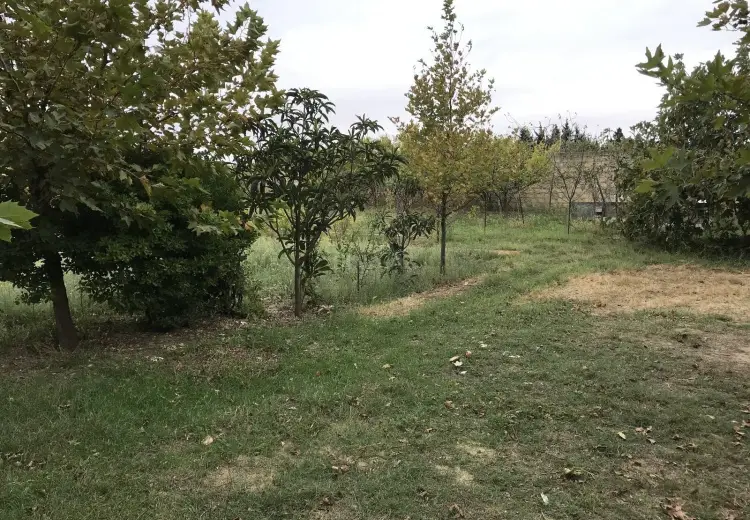 40 sot Torpaq Satılır, Pirşağı qəs., Sabunçu, Bakı