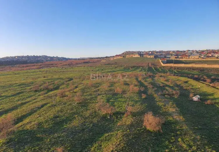 3000 sot Torpaq Satılır, Qala, Xəzər, Bakı