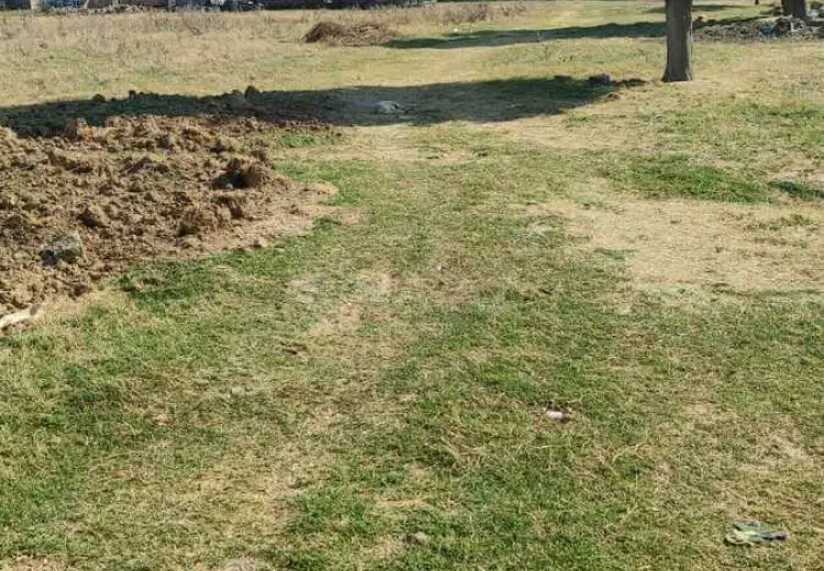 50000 sot Torpaq Satılır, Ramana qəs., Sabunçu, Bakı