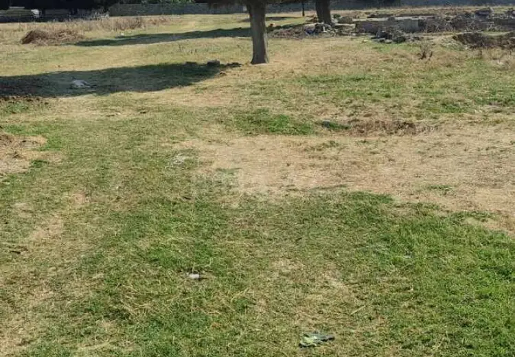 50000 sot Torpaq Satılır, Ramana qəs., Sabunçu, Bakı