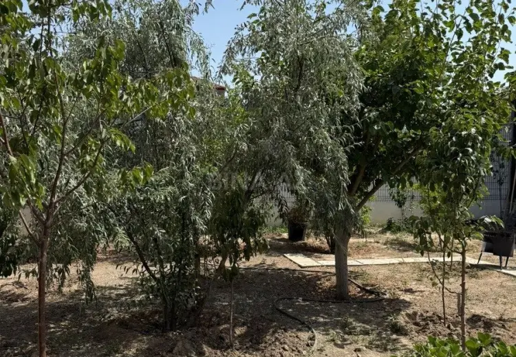 17 sot Torpaq Satılır, Badamdar qəs., Səbail, Bakı