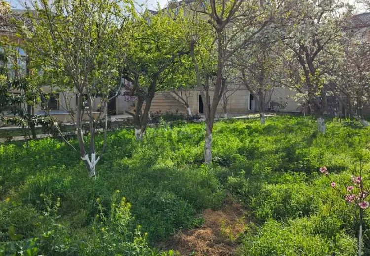 8 sot Torpaq Satılır, Badamdar qəs., Səbail, Bakı