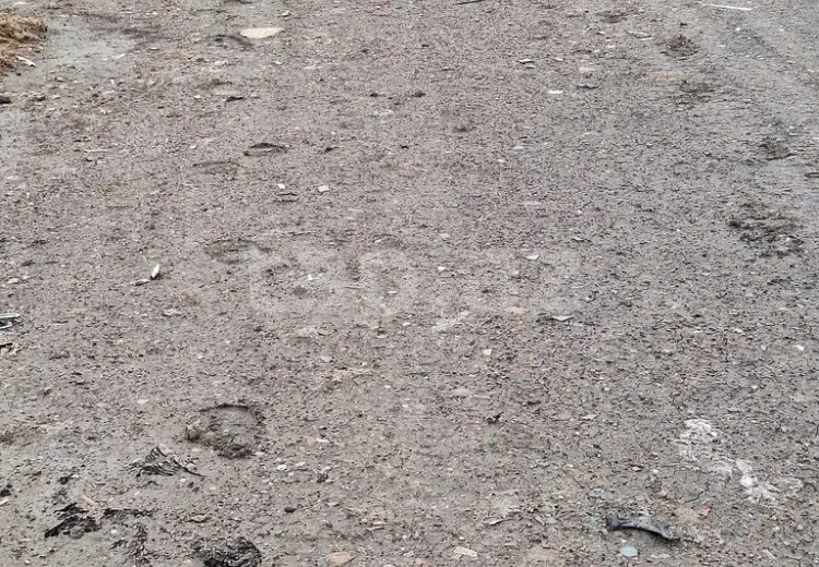 0 m² Obyekt / Ofis , Qobu, Abşeron