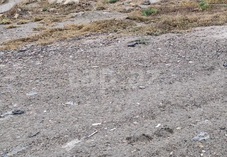 0 m² Obyekt / Ofis , Qobu, Abşeron