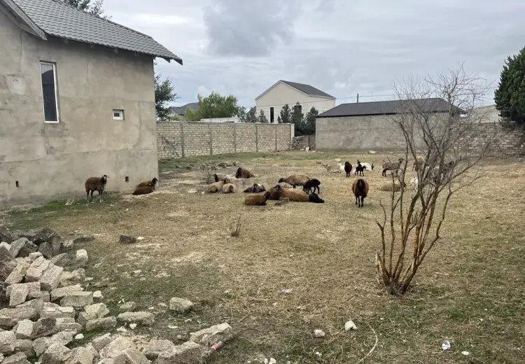 12 sot Torpaq Satılır, Şüvəlan, Xəzər, Bakı