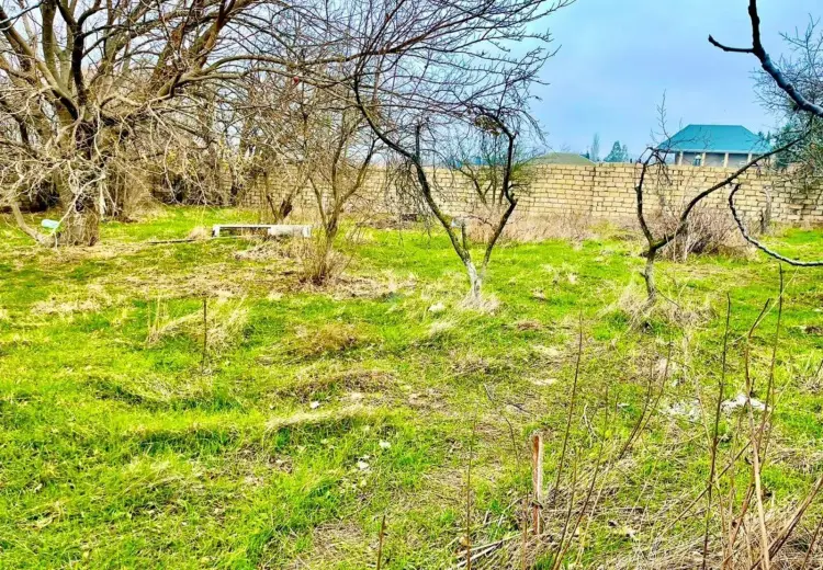 0 m² Obyekt / Ofis , Bakı