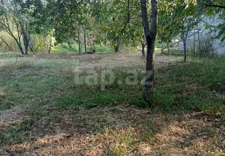 0 m² Obyekt / Ofis , Qəbələ