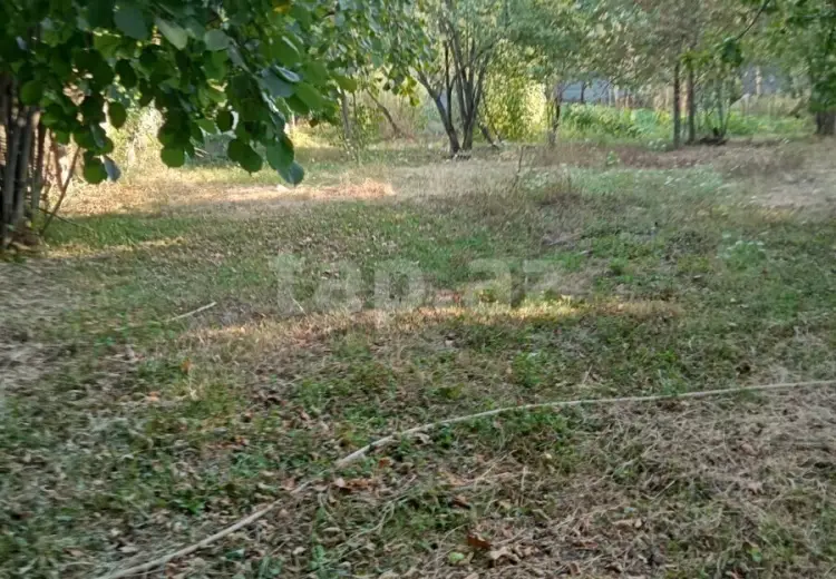 0 m² Obyekt / Ofis , Qəbələ
