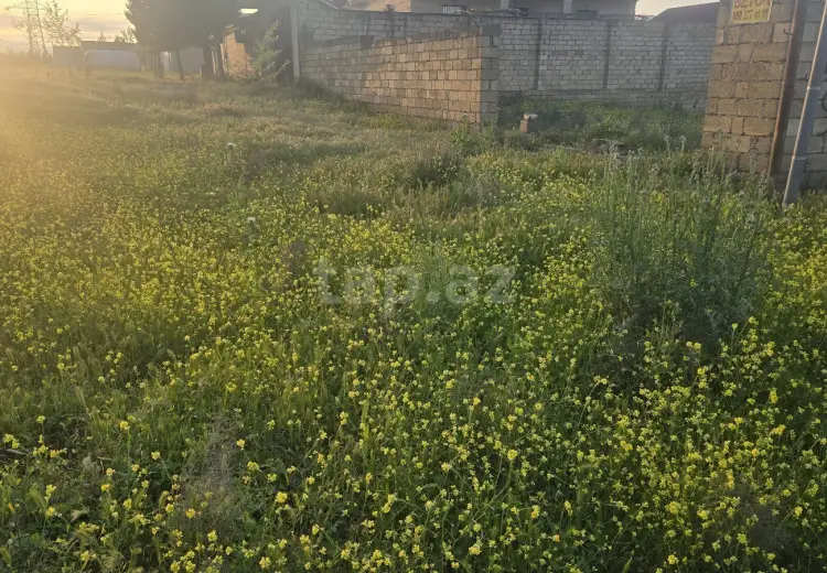 0 m² Obyekt / Ofis , Fatmayı, Abşeron