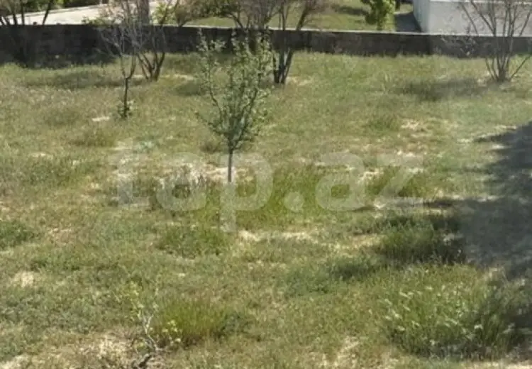 0 m² Obyekt / Ofis , Novxanı, Abşeron