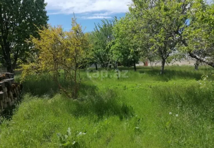 3 otaqlı mənzil , Balakən