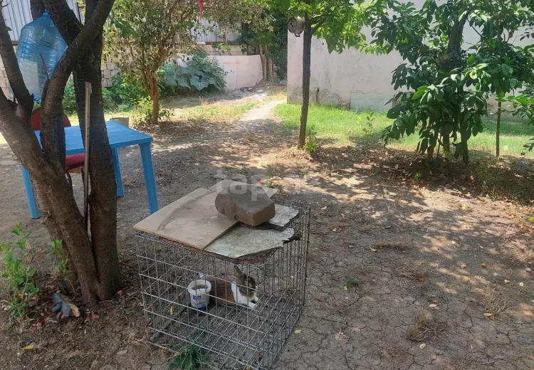 0 m² Obyekt / Ofis , Masallı
