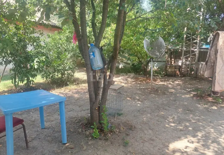 0 m² Obyekt / Ofis , Masallı
