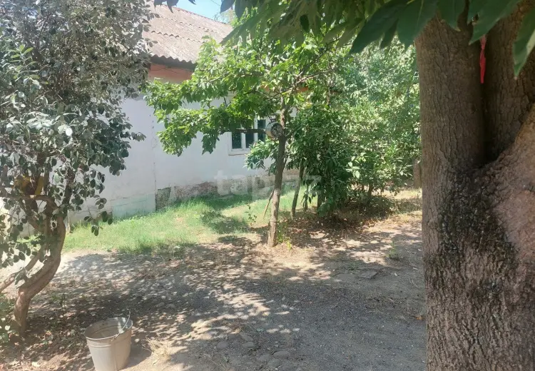 0 m² Obyekt / Ofis , Masallı