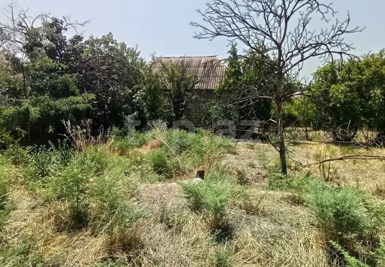 0 m² Obyekt / Ofis , Mingəçevir