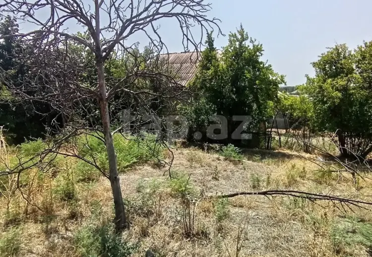 0 m² Obyekt / Ofis , Mingəçevir