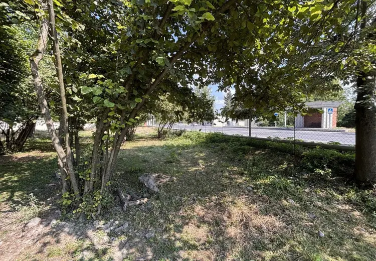 26 sot Torpaq Satılır, Qəbələ
