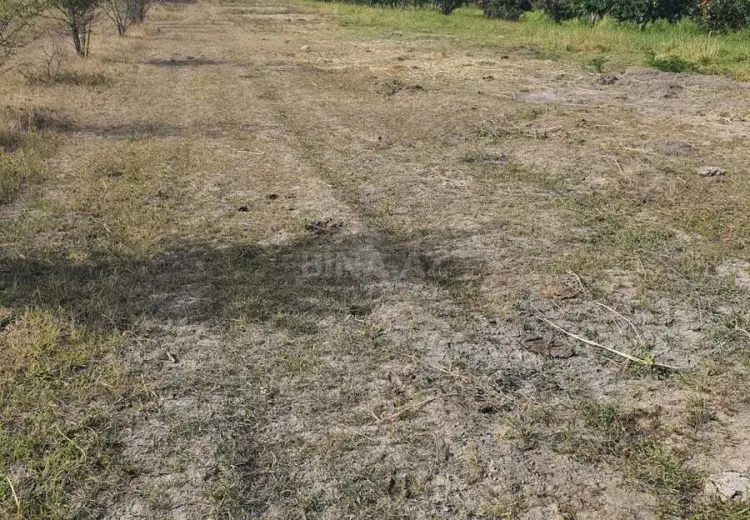 47 sot Torpaq Satılır, Quba