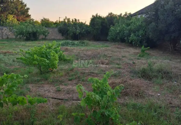 6 sot Torpaq Satılır, Nardaran qəs., Sabunçu, Bakı