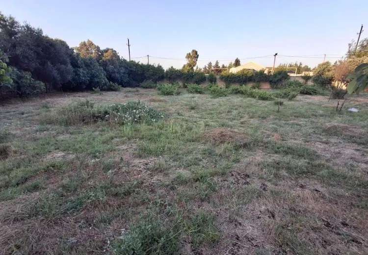 6 sot Torpaq Satılır, Nardaran qəs., Sabunçu, Bakı