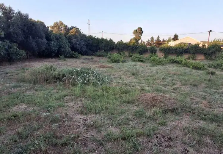 6 sot Torpaq Satılır, Nardaran qəs., Sabunçu, Bakı