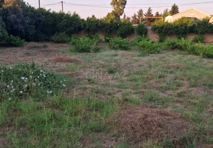 6 sot Torpaq Satılır, Nardaran qəs., Sabunçu, Bakı