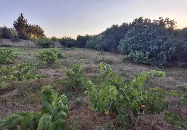 6 sot Torpaq Satılır, Nardaran qəs., Sabunçu, Bakı
