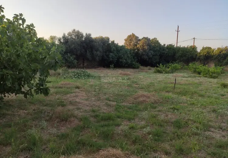 6 sot Torpaq Satılır, Nardaran qəs., Sabunçu, Bakı