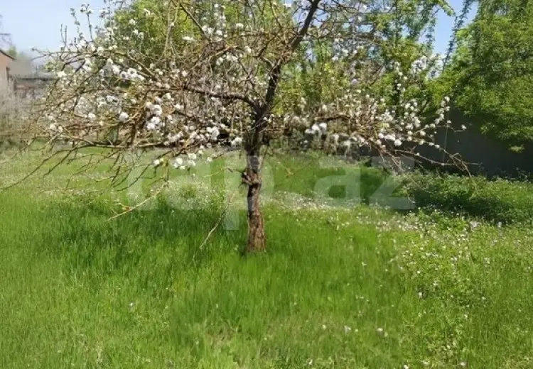 0 m² Obyekt / Ofis , İsmayıllı