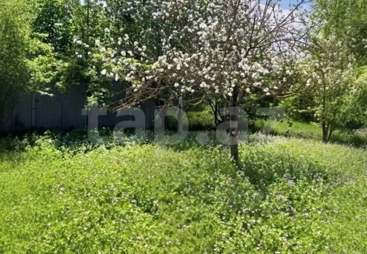 0 m² Obyekt / Ofis , İsmayıllı
