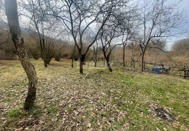 0 m² Obyekt / Ofis , Zaqatala
