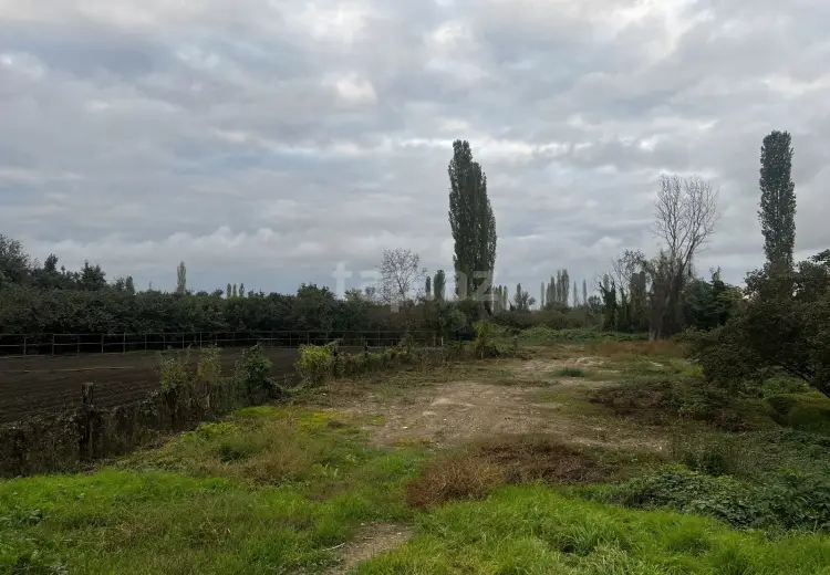 0 m² Obyekt / Ofis , Xaçmaz