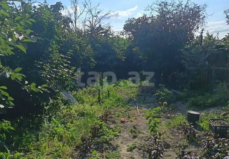 3 otaqlı mənzil , Xaçmaz