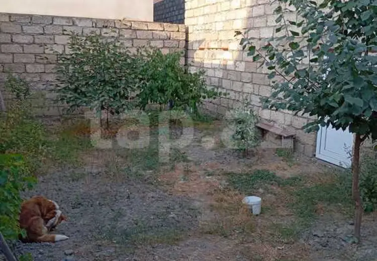 3 otaqlı mənzil , Xaçmaz