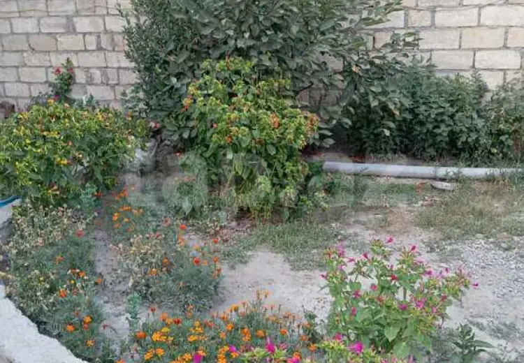 3 otaqlı mənzil , Xaçmaz