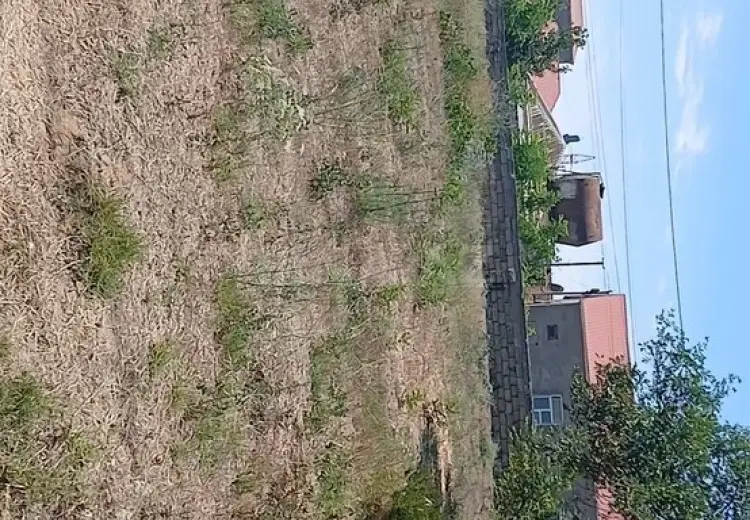 25 sot Torpaq Satılır, Şüvəlan, Xəzər, Bakı
