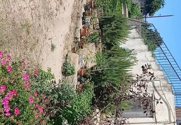 25 sot Torpaq Satılır, Şüvəlan, Xəzər, Bakı