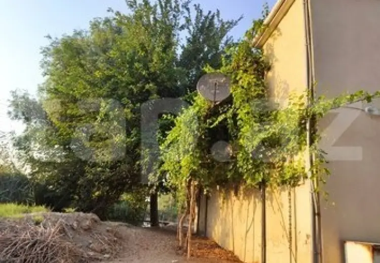 0 m² Obyekt / Ofis , Salyan