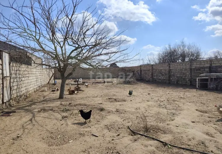 0 m² Obyekt / Ofis , Məştağa qəs., Sabunçu, Bakı