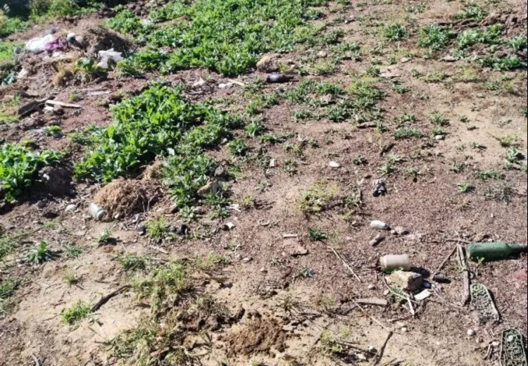 5 sot Torpaq Satılır, Mehdiabad, Abşeron