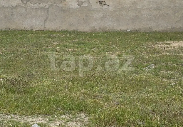 0 m² Obyekt / Ofis , Novxanı, Abşeron
