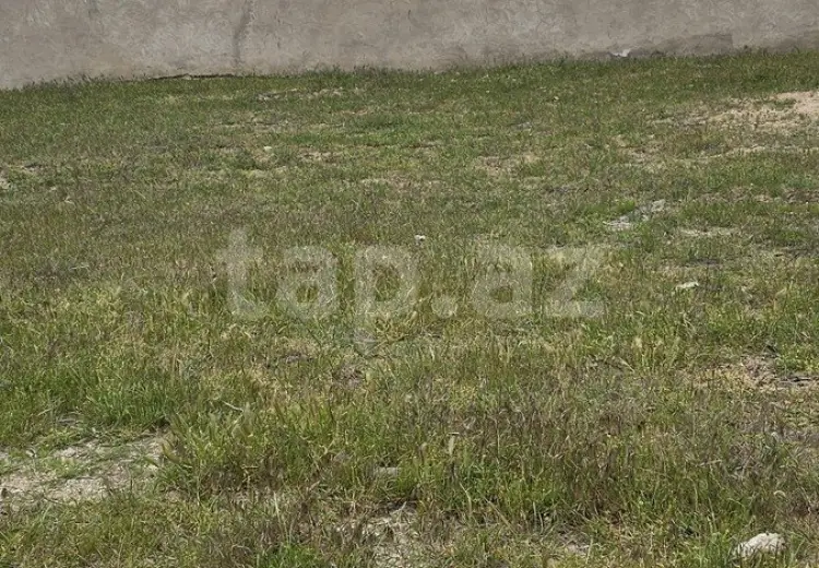 0 m² Obyekt / Ofis , Novxanı, Abşeron