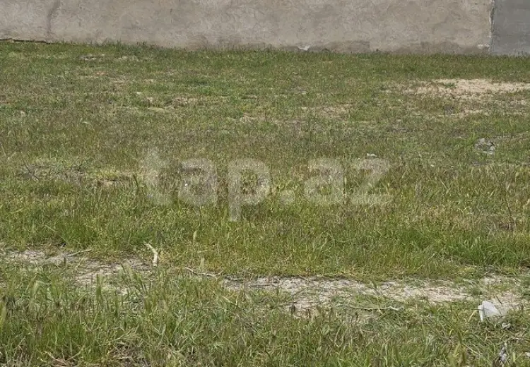 0 m² Obyekt / Ofis , Novxanı, Abşeron