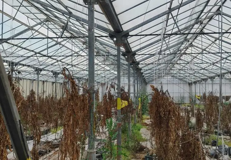 1000 m² Obyekt / Ofis Satılır, Hövsan qəs., Suraxanı, Bakı